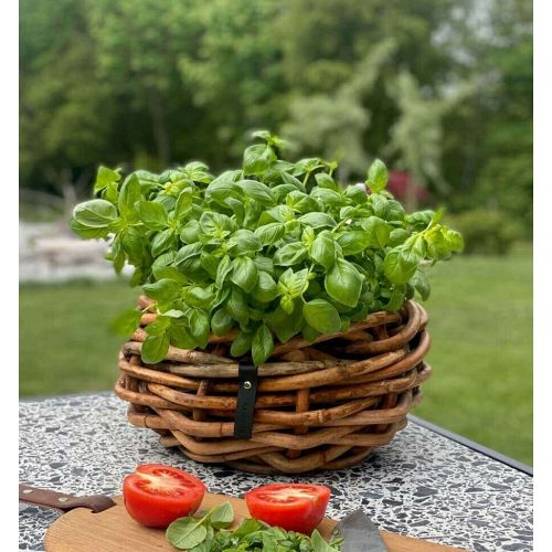 A2 Living -  Mini Rattanbowle - Rund