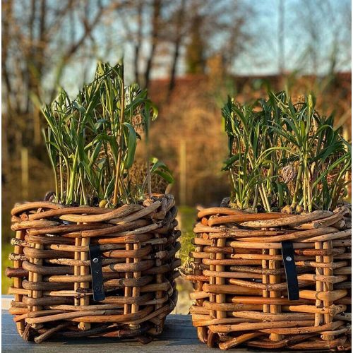 A2 Living - Mini Low Rattankurv - firkant