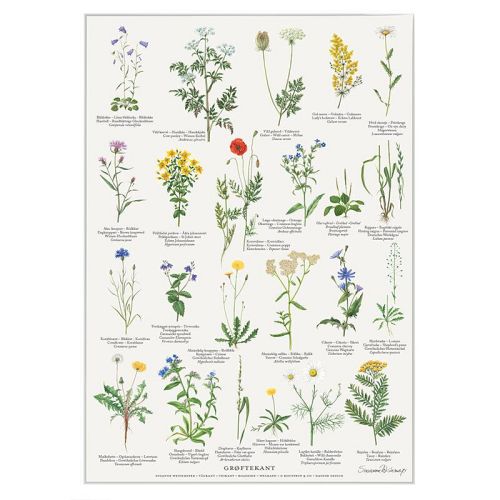 Koustrup og Co. - Grøftekanten - A2